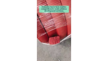 Video 69