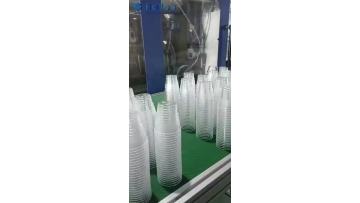 Transparent cup 16 chamber production--110501