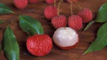 Litchi powder