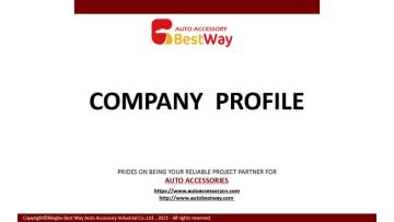 Bestway company introduction