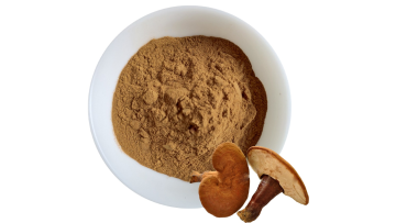 Ganoderma lucidum extract