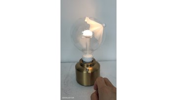 Sunshade rechargeable desk lamp