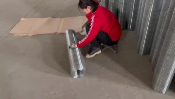 Galvanized PVC welded wire mesh hardware cloth