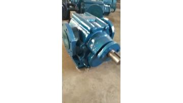 ZYB Hard-toothed Surface Residue Oil Gear Pump1