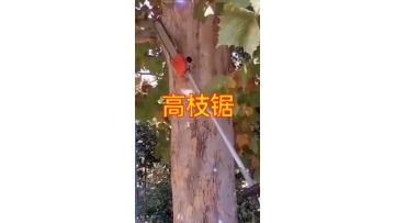 高枝锯.mp4
