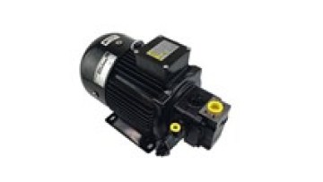 Japan NA-CHI UVN-1A-0A2/0A3/0A4/1A2/1A3/1A4/2A2/2A3/2A4 Hydraulic Oil Pump Combination UVN-1A-1A3-15E-4L-6297B1