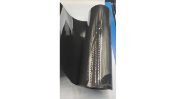 black PP250219