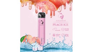 China Gunnpod Fruit Flavor Disposable Cigarette 2000 Puffs J