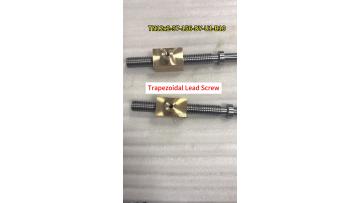 TN12X2 Trapezoidal Lead Screw Kit