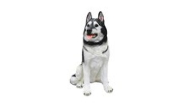 Life Size Resin and Fiberglass Siberian Husky Statue for Indoor/Outdoor Decor1