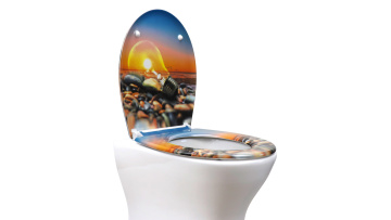 Fanmitrk Toilet Seat UF01-15