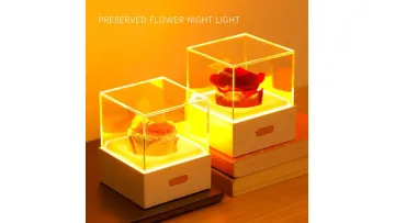 Whimsical USB Flower Night Light for Girls′ Rooms1