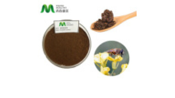 Health Care Grade Dry Bee Propolis Extract 70 Propolis Propolis Flavone Dark Brown Powder Colla Apis Food Grade Free Sample 1 Kg1