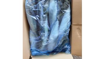 Mackerel Whole Round