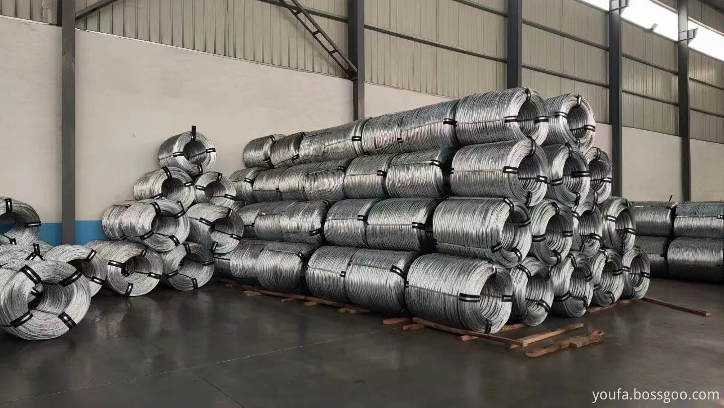 Galvanized Steel Wire