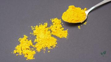 Fisetin powder of Flavonoids Powder