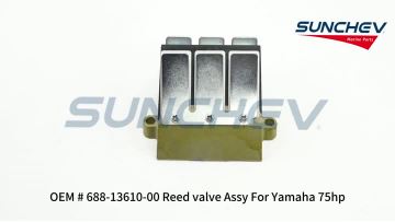 688-13610-00 Reed valve Assy