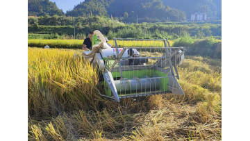 4LZ-1.2 Mini rice harvest machine