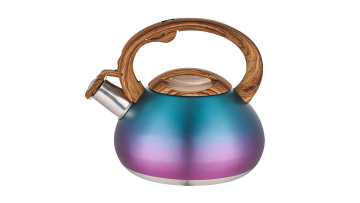FH-581 201 stainless steel water kettle