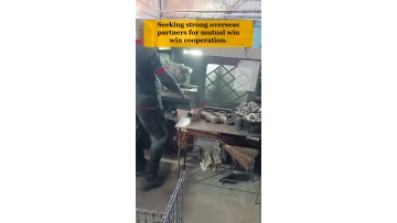 Video 11