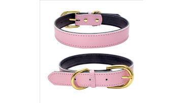 leather dog collar