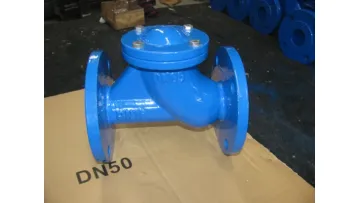 DN50mm Ball Valve for Non Return1