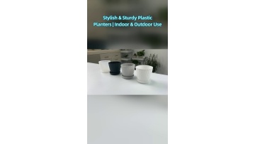 Solutions for blow‑molding‑process optimization for large‑capacity gallon‑container wall‑thickness uniformity promotion