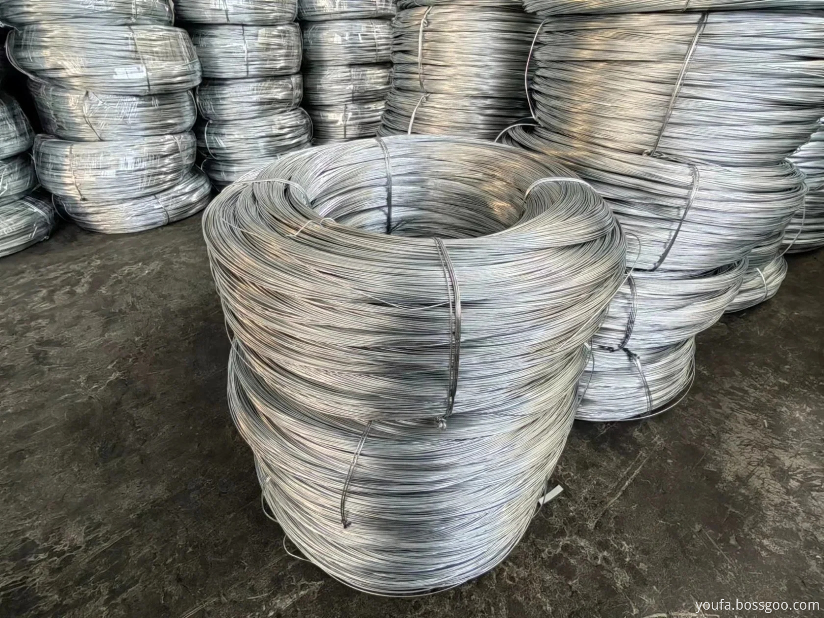 Galvanized Steel Wire