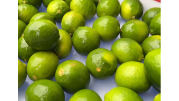 lemon washing machine vegetable washing machine