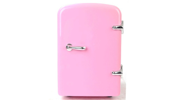 Cheap 4L thermoelectric cooler fridge for student1