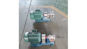 2CY WCB Portable Electric Gear Oil Pump for Crude Oil and Lobe Oil1