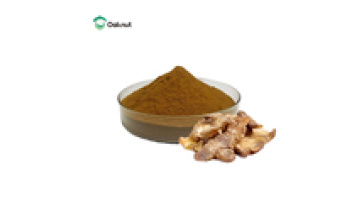 Phellinus Linteus Extract Powder - High Polysaccharide Content Bracket Mushroom Extract1
