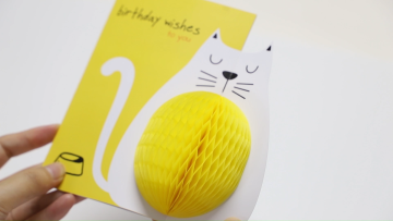 Customization Personalised Unique Handmade Decoration Cat 3D Pop Up Happy Birthday Greeting Cards for Kids1