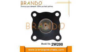 2W200-20, 2S200-20 Solenoid Valve Diaphragm