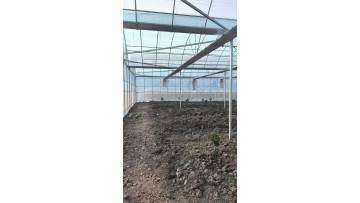 Film Multi-span Greenhouse with internal shading 