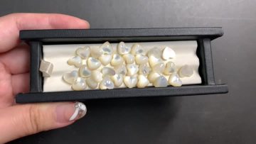 white Shell QF-0727