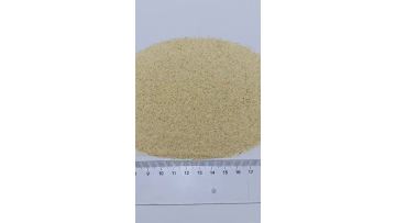 garlic granules 40-80 mesh