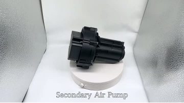 BJ-9406Secondary Air Pump