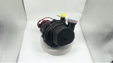 BJ-9227 Secondary Air Pump