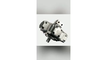 Hydraulic Motor