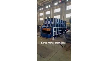 container shear1000~1