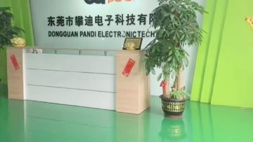 Dongguan Pandi Electronic Technology Video Showcase