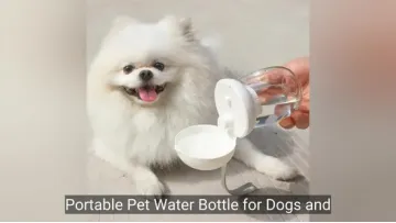 Portable Pet Water Bottle for Dogs and Cats, Ideal for Outdoor Use1