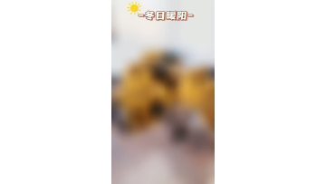 340/352/349/336/345GC 524-0924