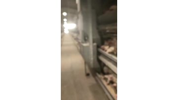 VIDEO FOR ANIMAL FARM