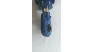 240 140 200-900 Hydraulic Cylinder