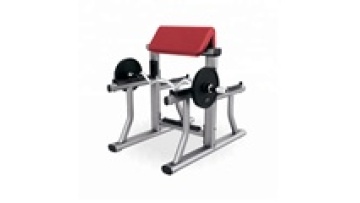 preacher arm curl bench