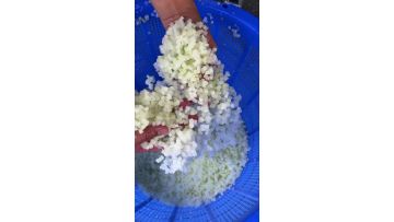 Fruit dicing machine Tomato dicing machine