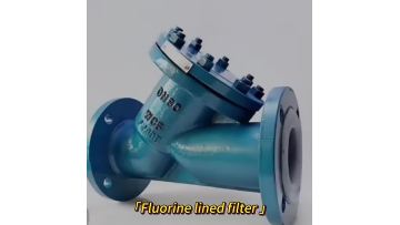 Fluorine Lined Flange Strainer