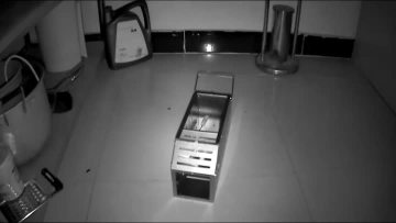 rat traps uk.mp4